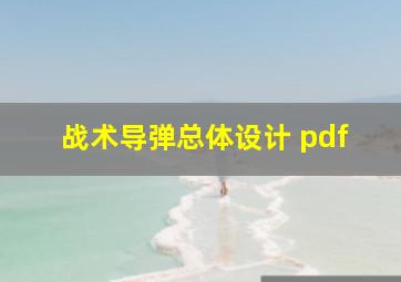 战术导弹总体设计 pdf